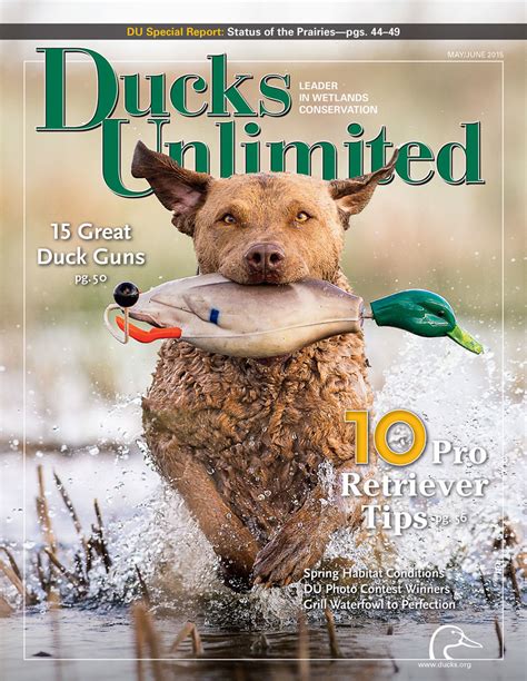 With more than 4,000 local fundraising events held each year, these dedicated volunteers help raise more than 50 million dollars for North America&39;s wetlands. . How many members does ducks unlimited have